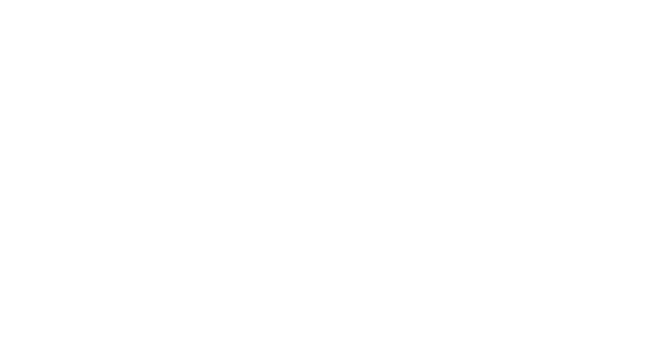 网格